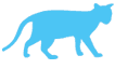 for Cats