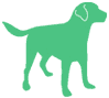for Dogs